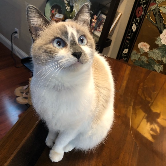 Meet your Posher, TCP - Picture 3 of 7